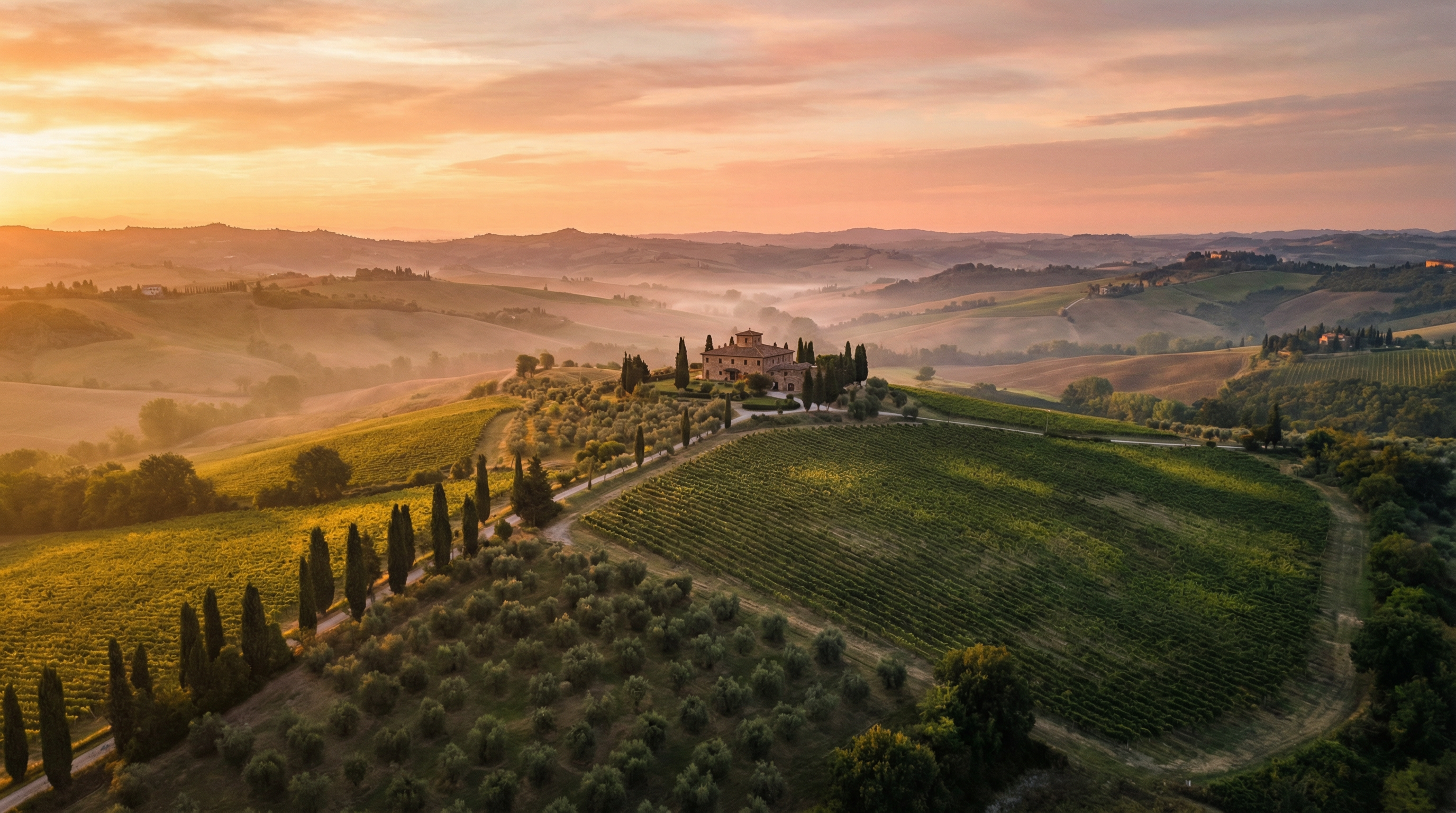 Aerial view of Centettari estate in the Bologna Hills with rolling vineyards and olive groves